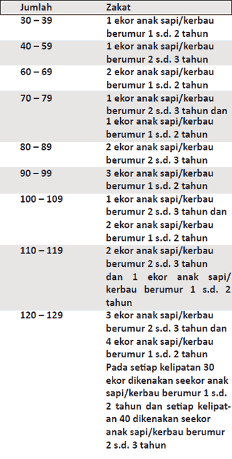 Anggraeni Tkj Nisab Zakat