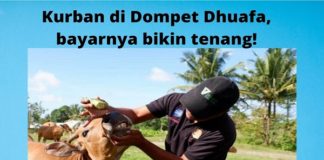 Kurban di Dompet Dhuafa