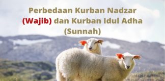 Perbedaan kurban wajib dan kurban adha