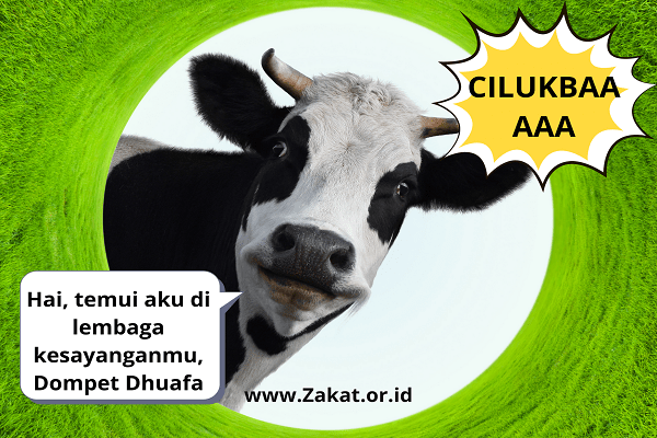 kurban online sapi Idul Adha di lembaga dompet dhuafa