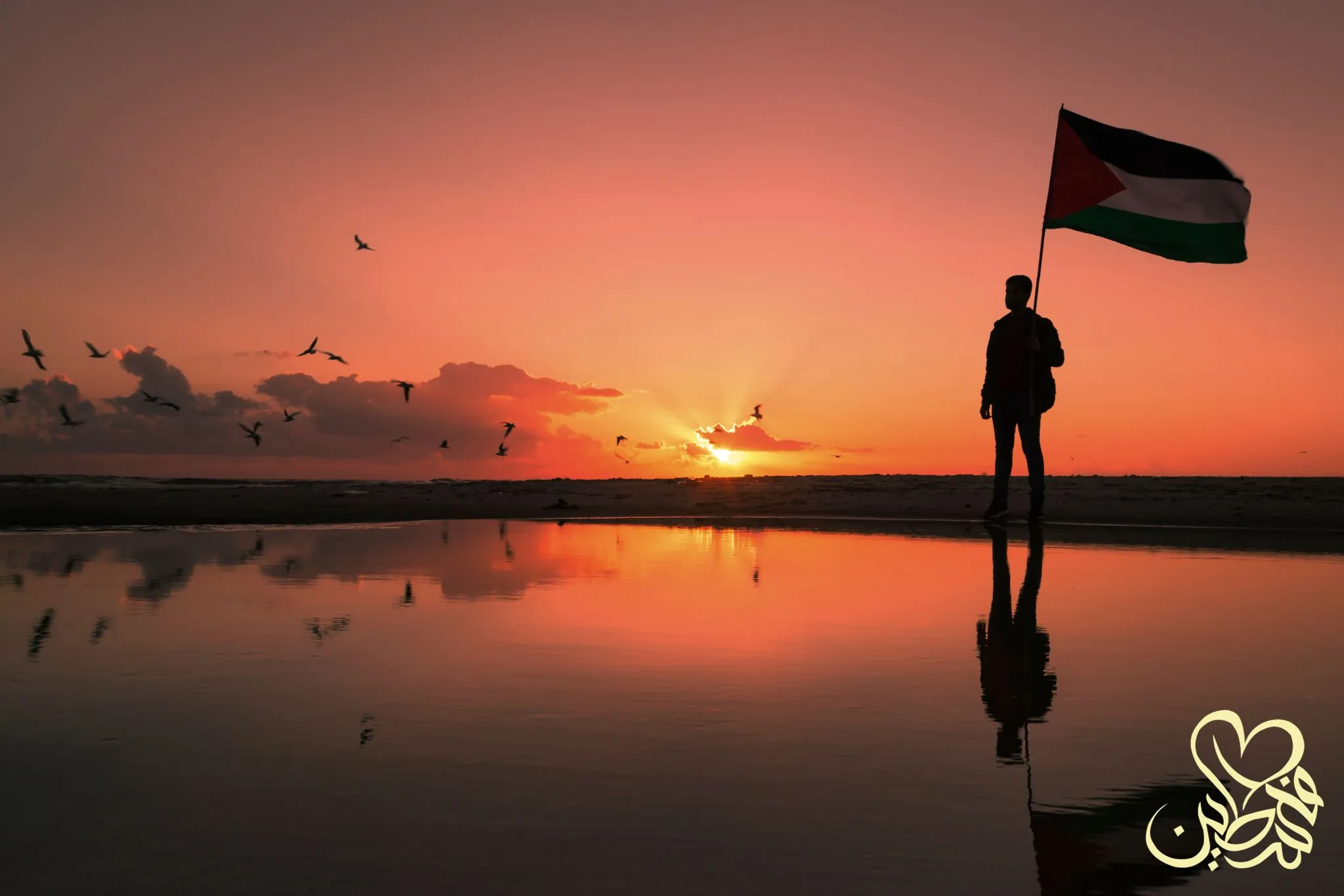 A Silhouette photo of young man holding up Palestine flag near the beach Gaza Palestine (Hazem Swidan Getty Images). Calligraphy Sign by Loy 